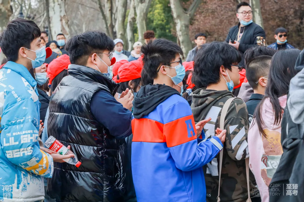 艺术生生文化分要求多高：各艺术院校大学分数线