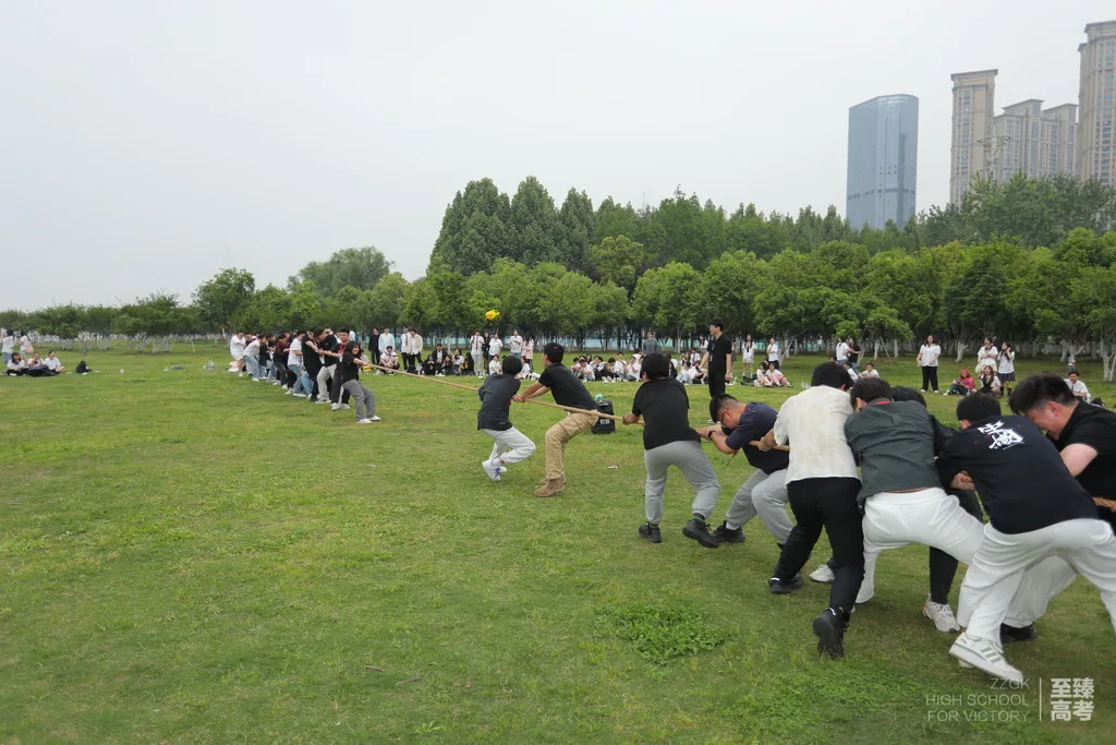高三艺术生文化课辅导方案:武汉艺考生文化课哪里好