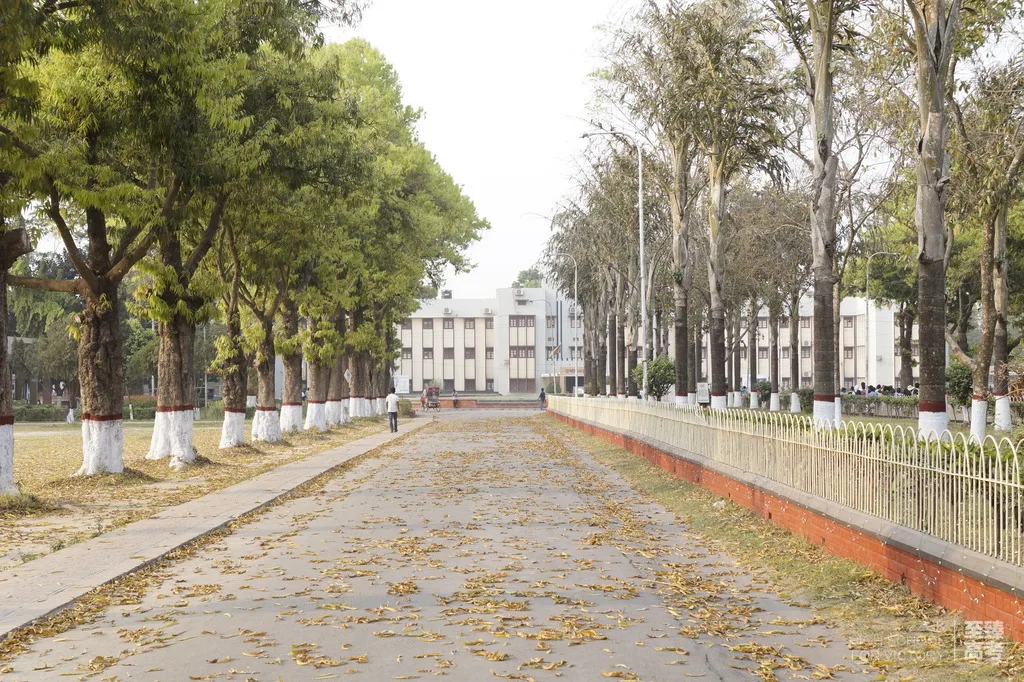 学音乐的艺考生要花多少钱:北京的音乐学院有哪些