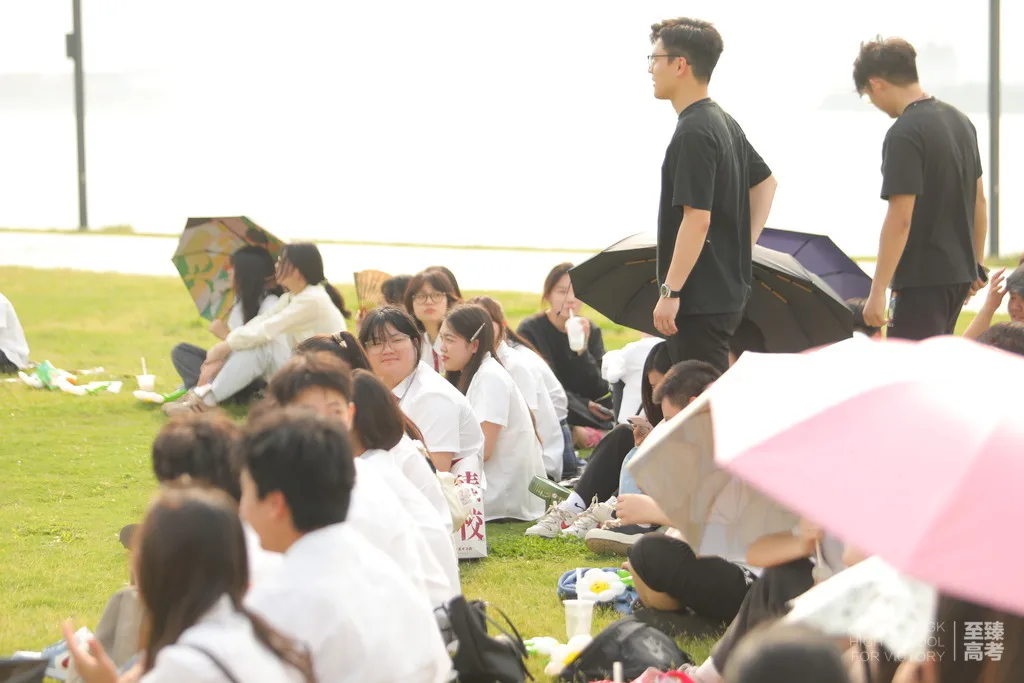 高考文化冲刺篇:5分钟秒懂数学函数图像