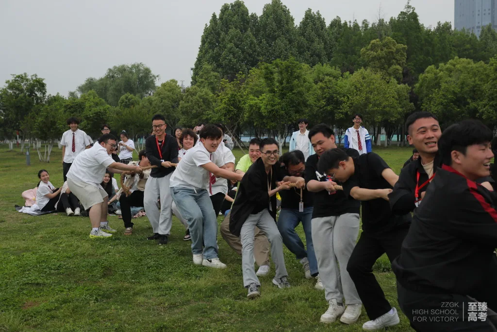困恼艺考生文化课学习的因素